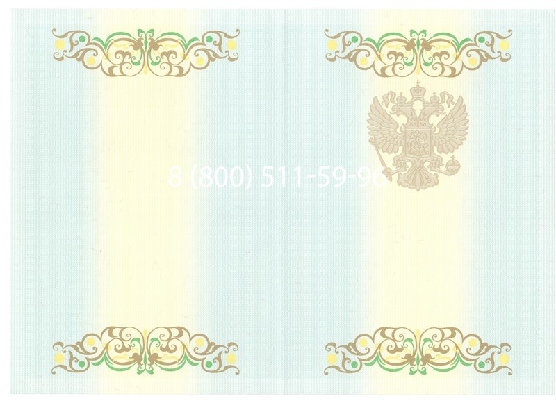 Купить Диплом бакалавра 2012-2013 годов в Казани