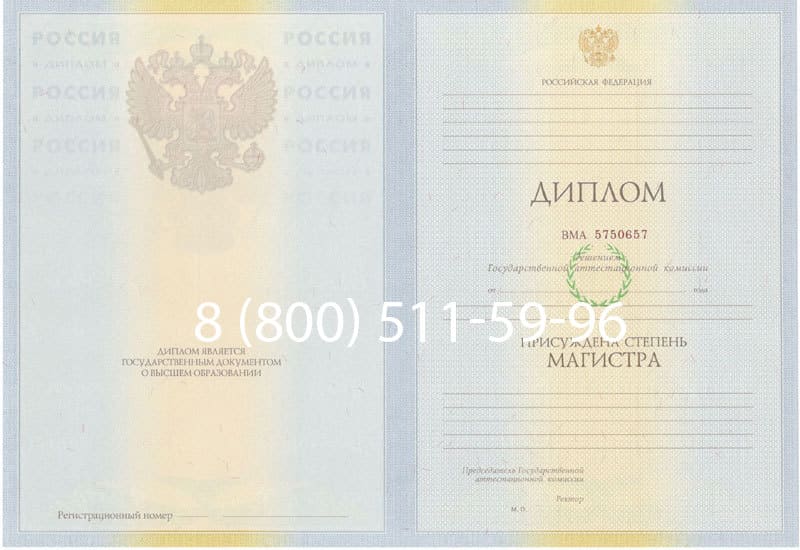 Купить Диплом магистра 2010-2011 годов в Казани