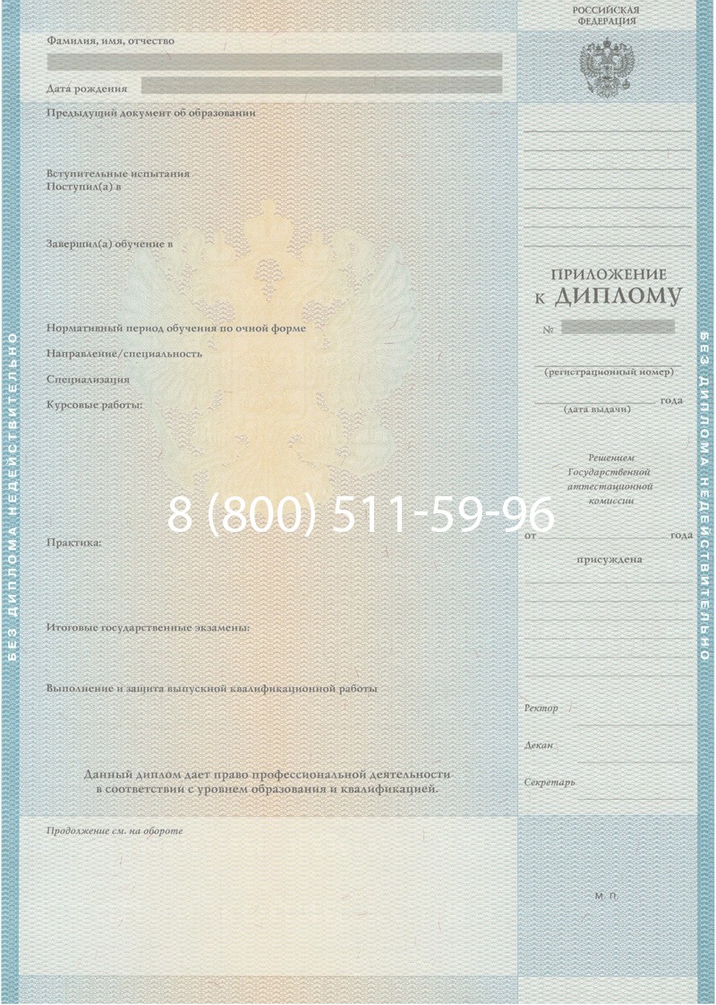 Заказать Диплом специалиста 2010-2011 годов в Казани