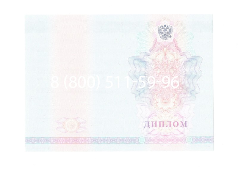 Заказать Диплом техникума 2007-2010 годов в Казани