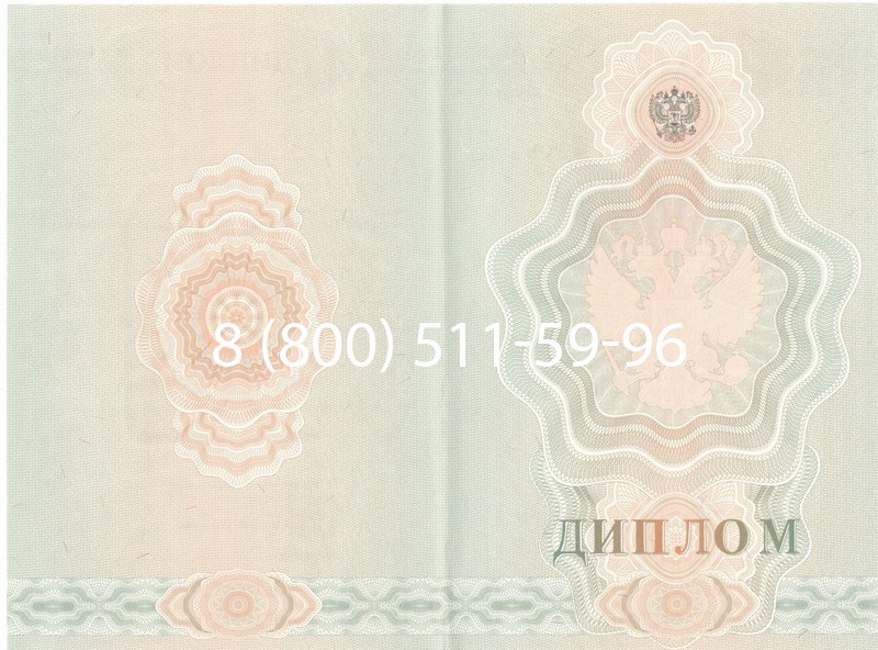Купить Диплом училища 2007-2009 годов в Казани